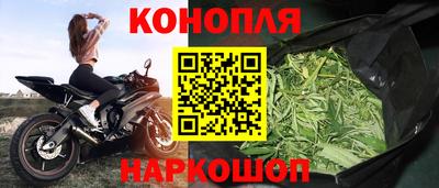 гашишное масло Берёзовский