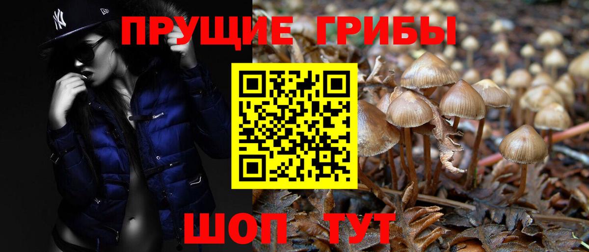Галлюциногенные грибы MAGIC MUSHROOMS  Вход с VPN  Джанкой 